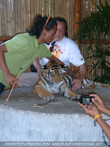 Tiger Visit 02: Charly Swoboda