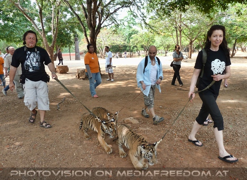 The B-Day of the Tigerman Pix 067