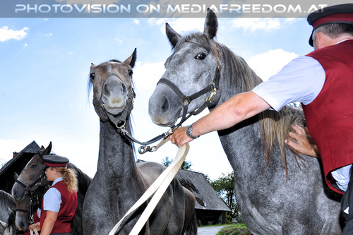 1. Station - Gasthof Wiendl 21