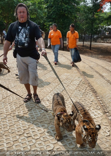 The B-Day of the Tigerman Pix 068