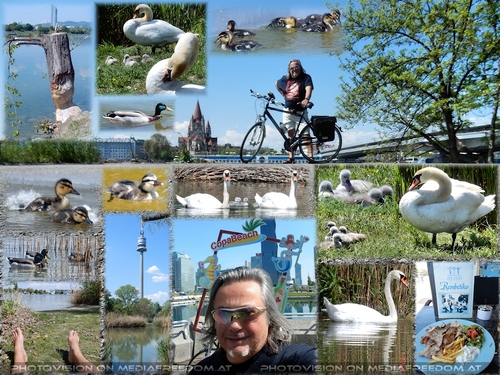 Voyager to the Birdland: Charly Swoboda