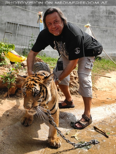 The B-Day of the Tigerman Pix 070