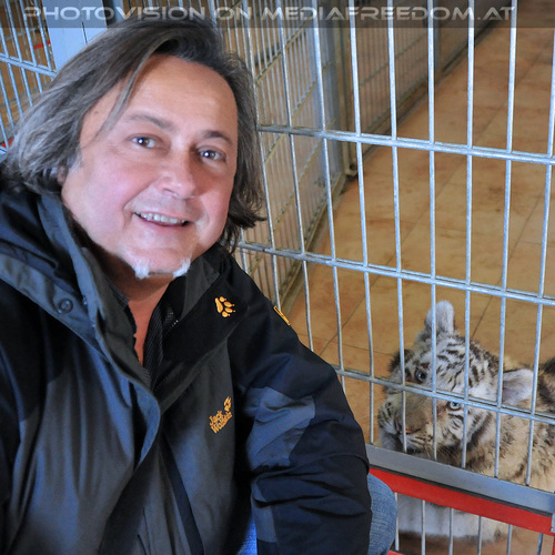 Bei den wei�en Tiger-Zwillingen 06: Charly Swoboda