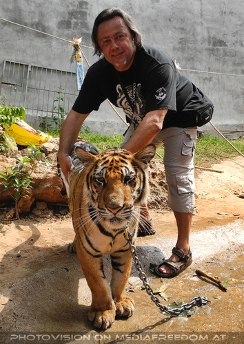 The B-Day of the Tigerman Pix 071