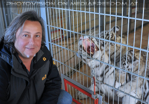 Bei den wei�en Tiger-Zwillingen 08: Charly Swoboda