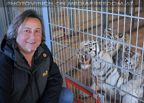 Bei den wei�en Tiger-Zwillingen 09