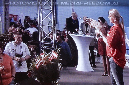 Cat world 20 on screen