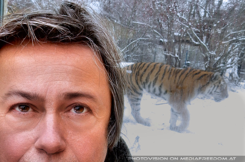 Sibirische Tiger 13: Charly Swoboda