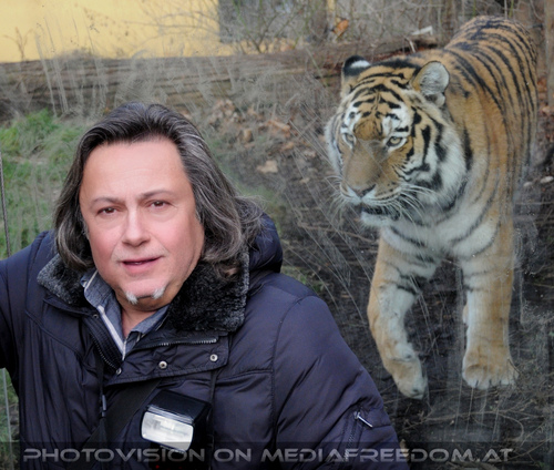 Sibirische Tiger 06: Charly Swoboda