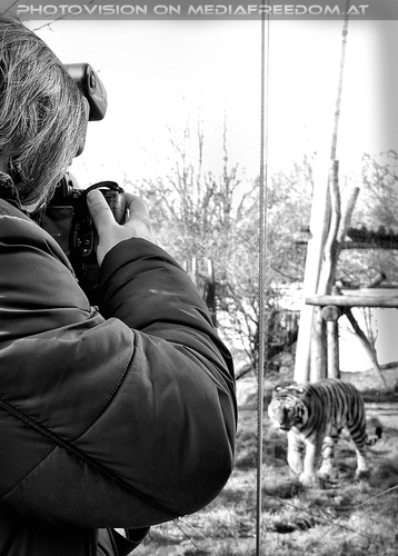 Sibirische Tiger 06: Charly Swoboda