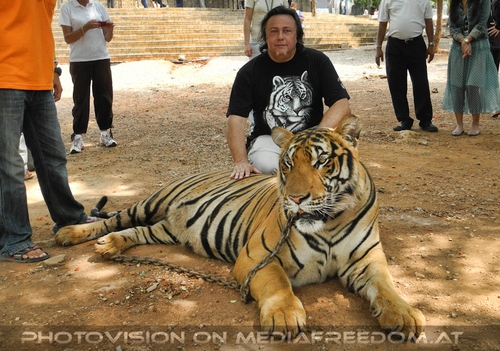 The B-Day of the Tigerman Pix 091