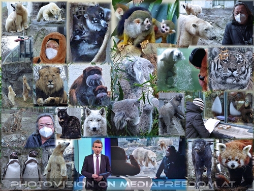 Als Erste wieder bei Freunden!