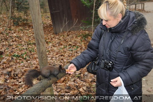 Eichk�tzchen f�ttern 06: Gabriele P.