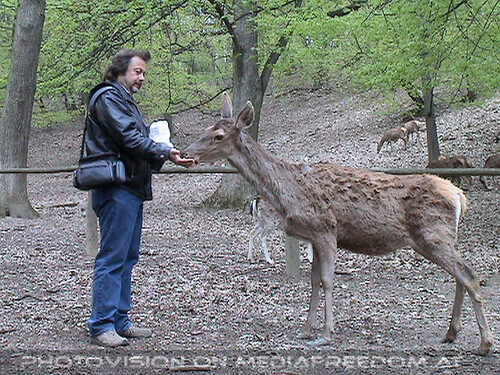 Den Tieren so nah 10