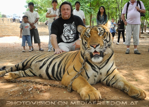 The B-Day of the Tigerman Pix 092