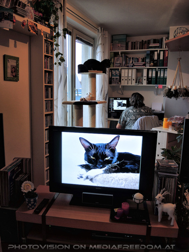 WinterlichT 19: Charly Swoboda,Ebony