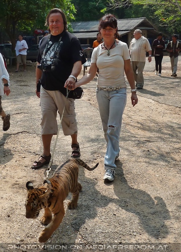 The B-Day of the Tigerman Pix 066