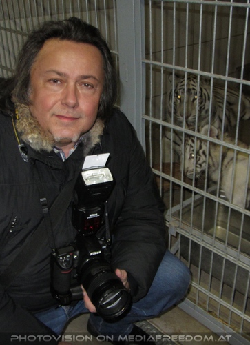 Winter dream - Pix 104: Charly Swoboda,Wei�er Tiger