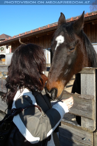 Im Paradies f�r Tiere 12