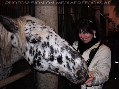 Advent im Schloss 61: Eva D.