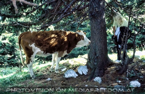 He du Kuh: Gabriele P.