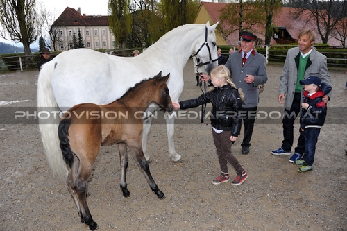 Club der Freunde des Lipizzanergest�ts 44: Hans Knau�