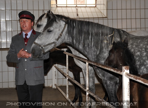 Club der Freunde des Lipizzanergest�ts 80