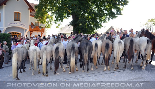 Rast beim Gasthof Wiendl 10