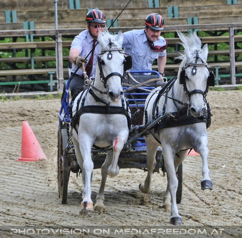 Die Pr�sentation 18