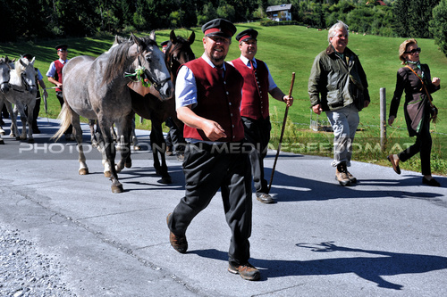 2. Station - Pferdesegnung 02