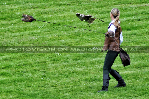 Historische Falknerei 09