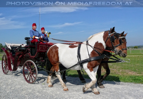 Die Pferdeshow 02 - Dragoner