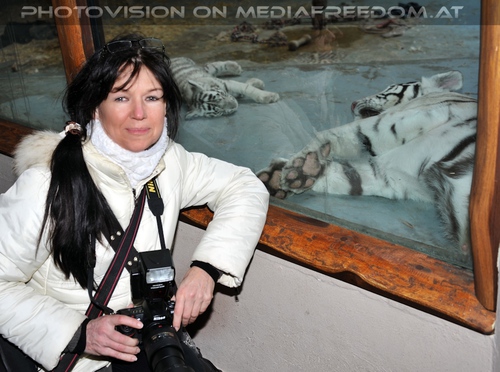 White Tiger Family 26