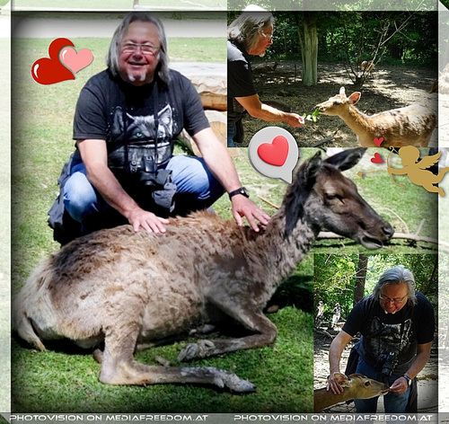 Auf wildem Sreichelkurs