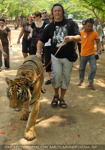 The B-Day of the Tigerman Pix 100