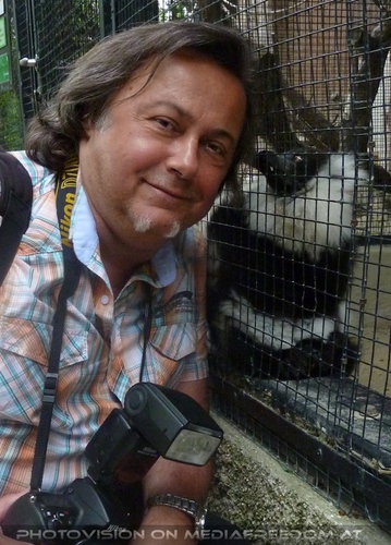 Lemuren knabbern am Ohr