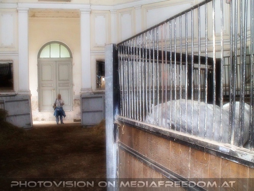 Das alte Sommerquartier 02: Gabriele P.