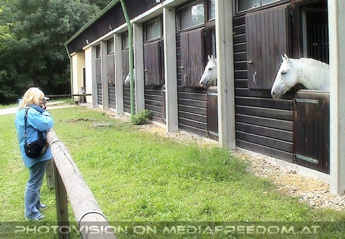 Das alte Sommerquartier 13