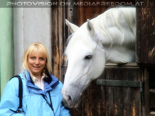 Das alte Sommerquartier 17