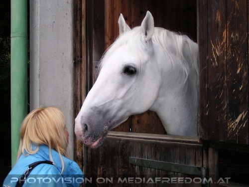 Das alte Sommerquartier 18