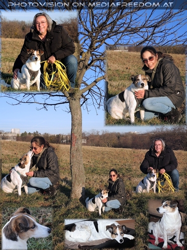 Stadt umwandern: Emmy, Tanja M., Charly Swoboda