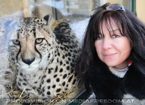 Gepard mit gepaart....: Eva D.
