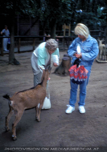 F�tterung: Gertrude Swoboda,Gabriele P.