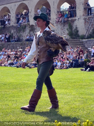 Falkner mit Eule