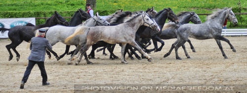 Die Pr�sentation 06