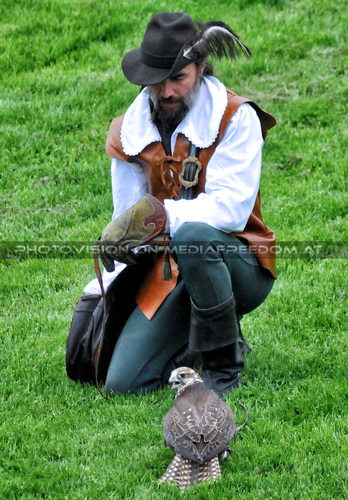 Historische Falknerei 10