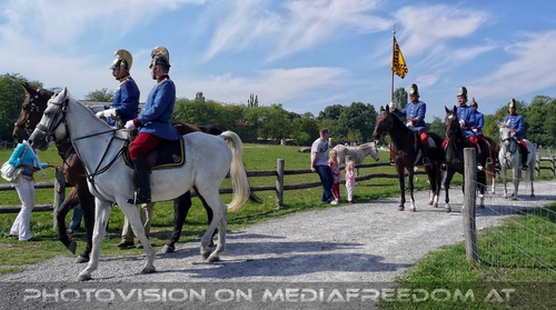 Die Pferdeshow 01 - Dragoner