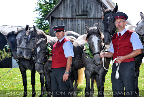 1. Station - Gasthof Wiendl 52