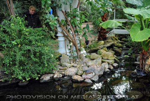 Schildkr�te am Teich