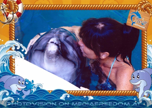 Swim with Dolphins 22